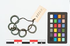 Foto von Bronzering (NHMW-PRAE-026345)